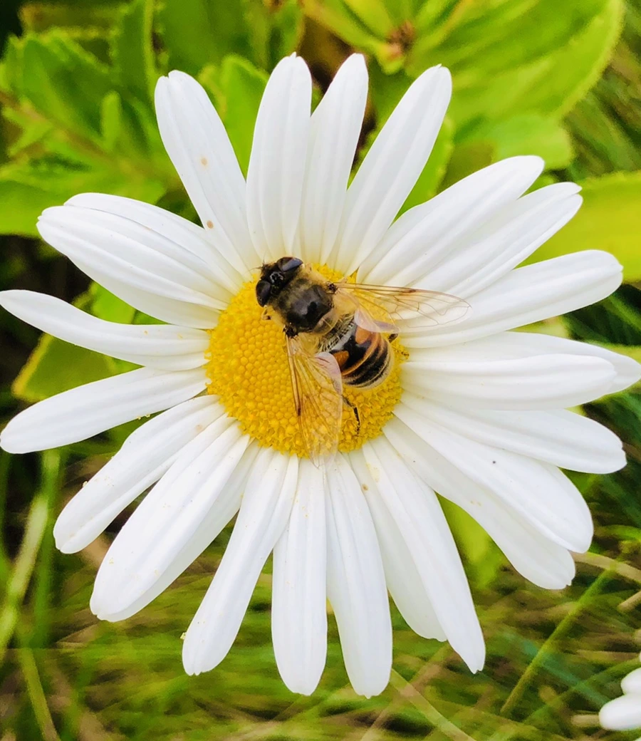 IMG_1790.jpg?type=w966