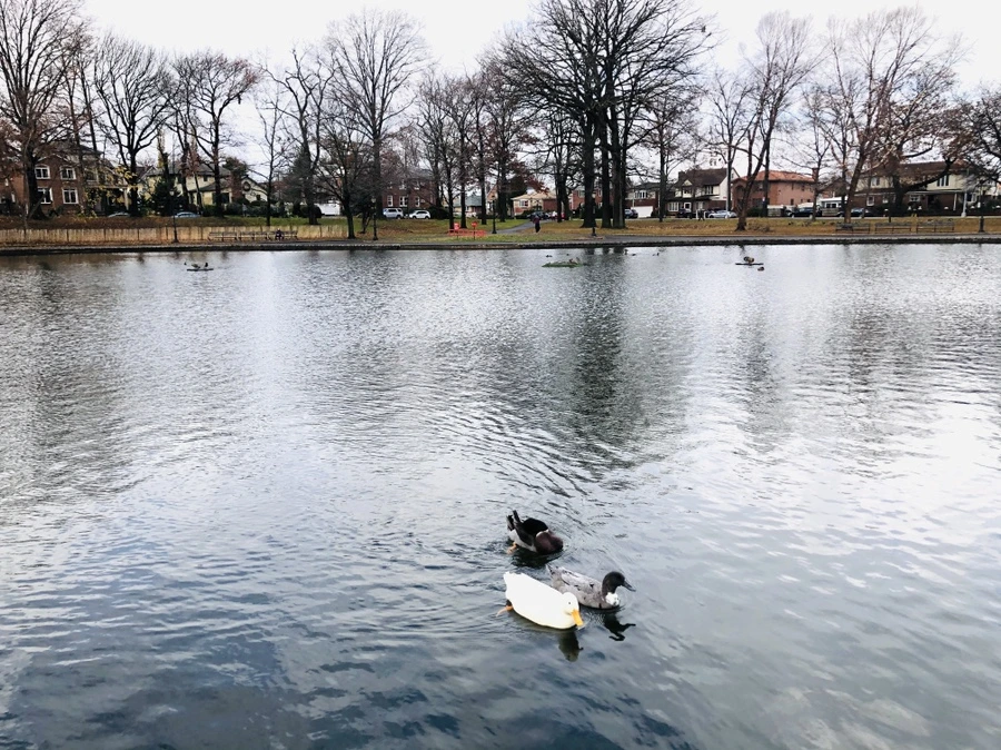 IMG_5487.jpg?type=w966