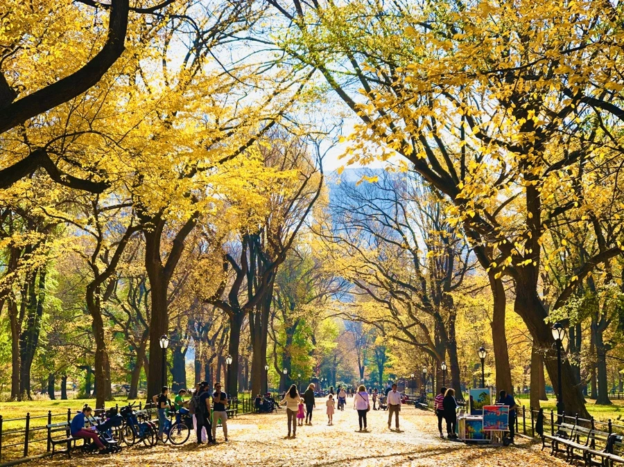 IMG_4298.jpg?type=w966