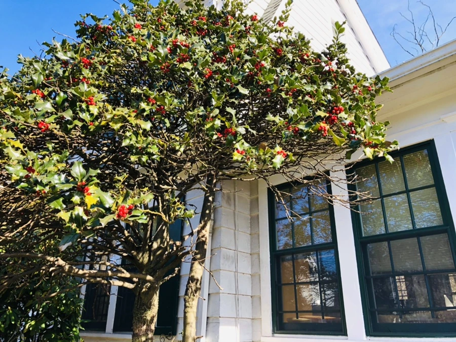 IMG_6518.jpg?type=w966