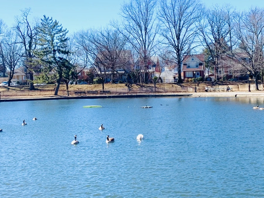 IMG_7520.jpg?type=w966