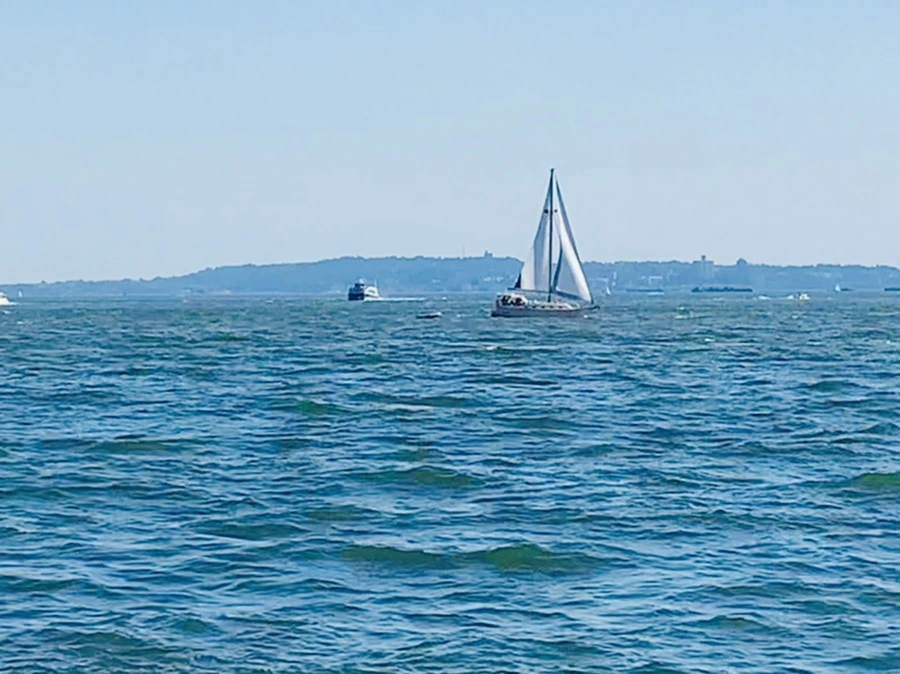 IMG_1133.jpg?type=w966