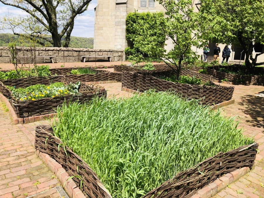 IMG_3790.jpg?type=w966