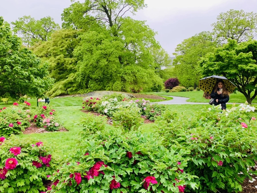 IMG_9968.jpg?type=w966