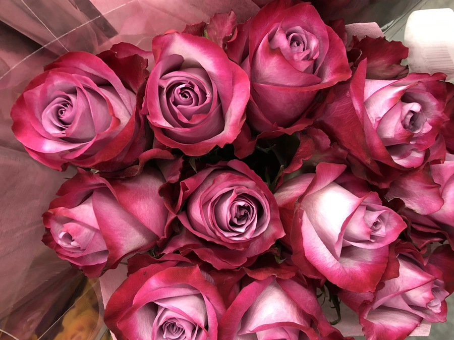 IMG_8873.jpg?type=w966