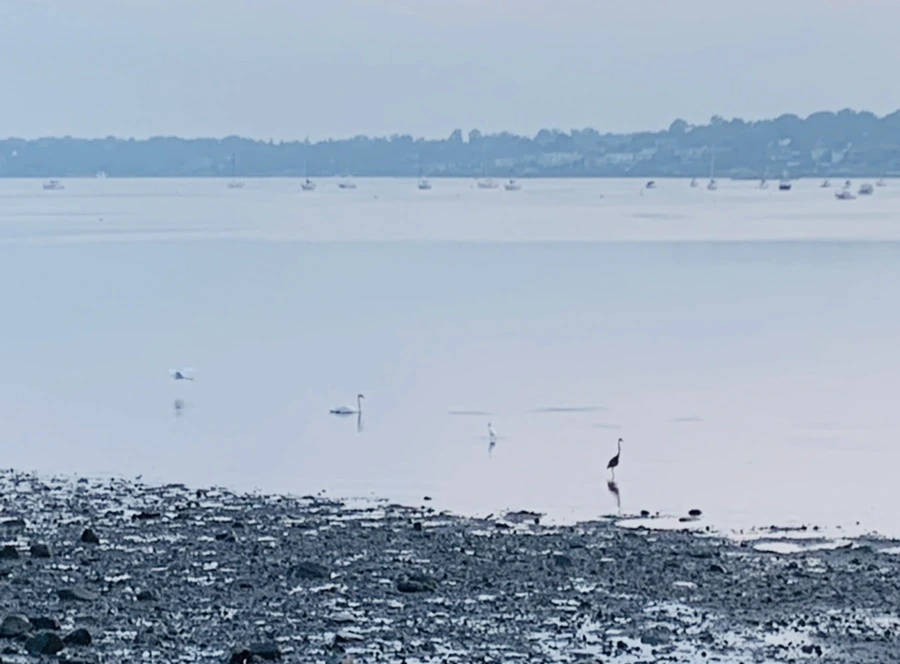 IMG_8166.jpg?type=w966