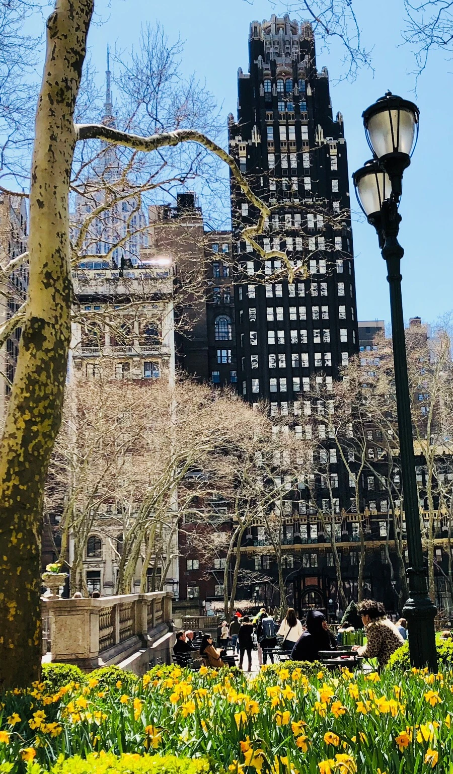 IMG_4571.jpg?type=w966