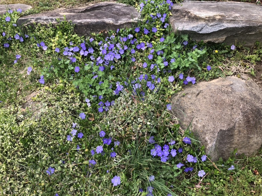 IMG_2888.jpg?type=w966