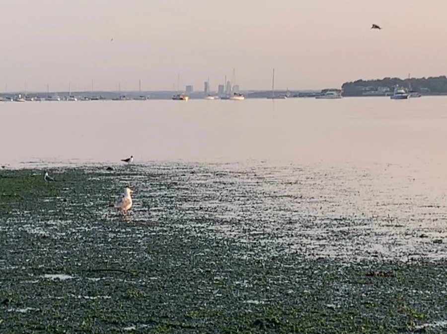 IMG_9607.jpg?type=w966