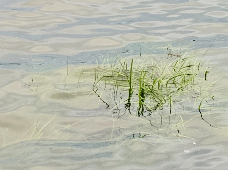 IMG_7712.jpg?type=w966