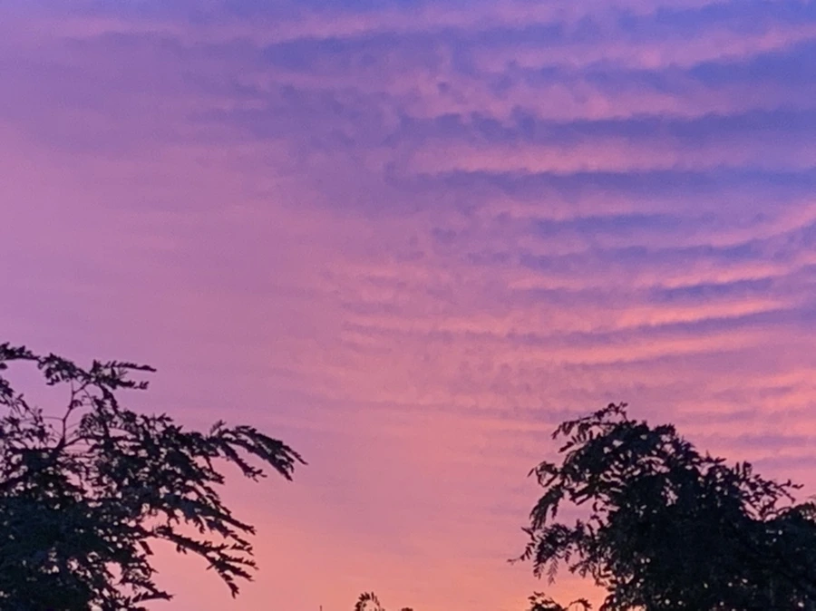 IMG_5839.jpg?type=w966