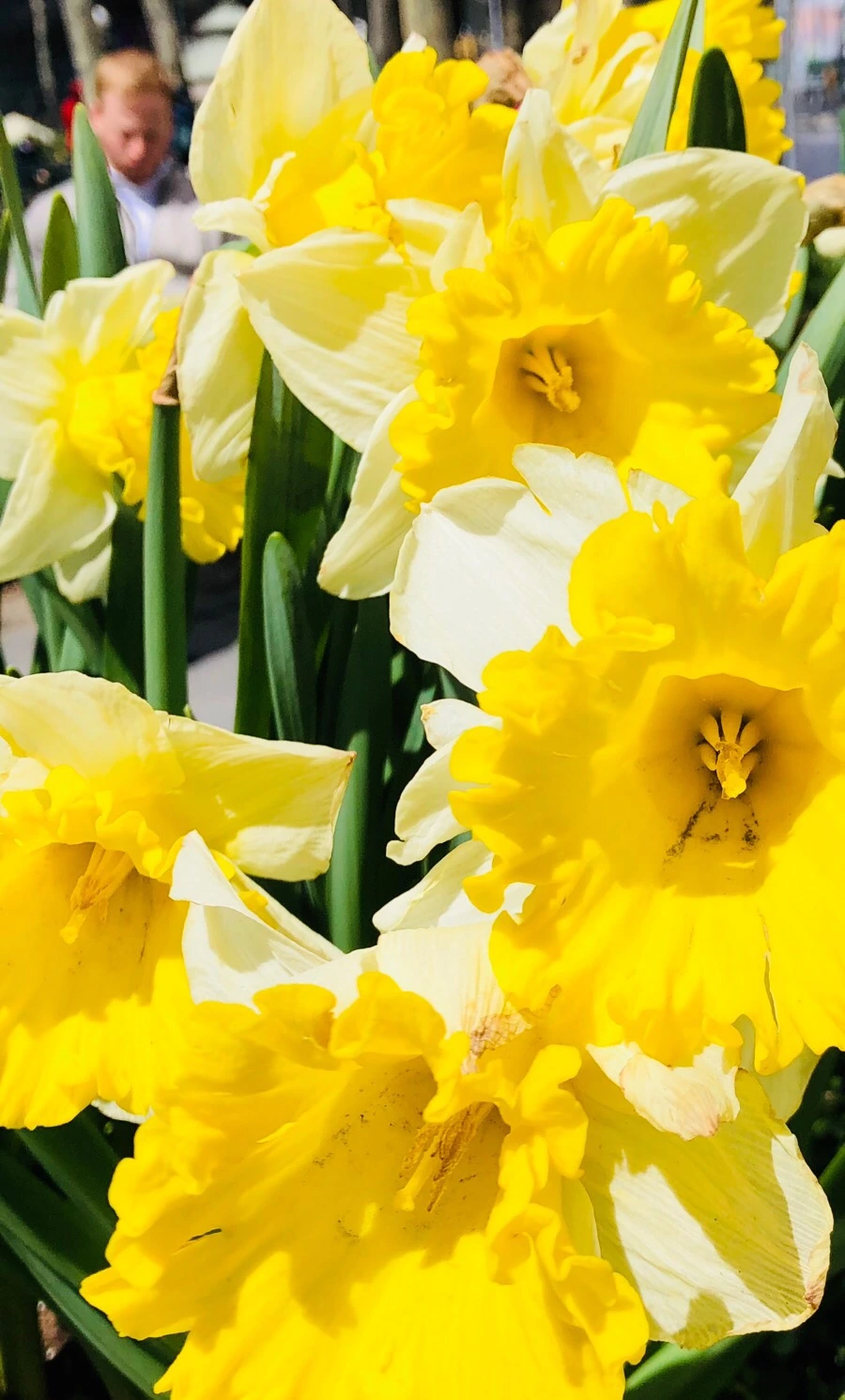 IMG_4566.jpg?type=w966