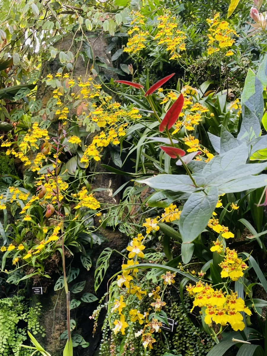 IMG_4481.jpg?type=w966