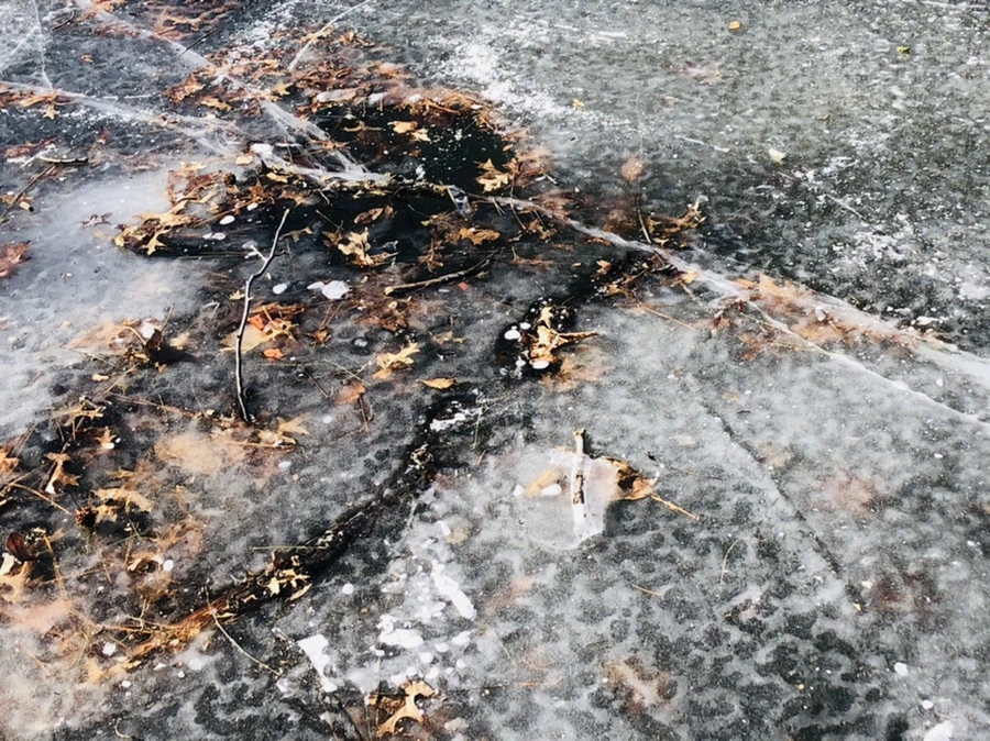 IMG_7914.jpg?type=w966