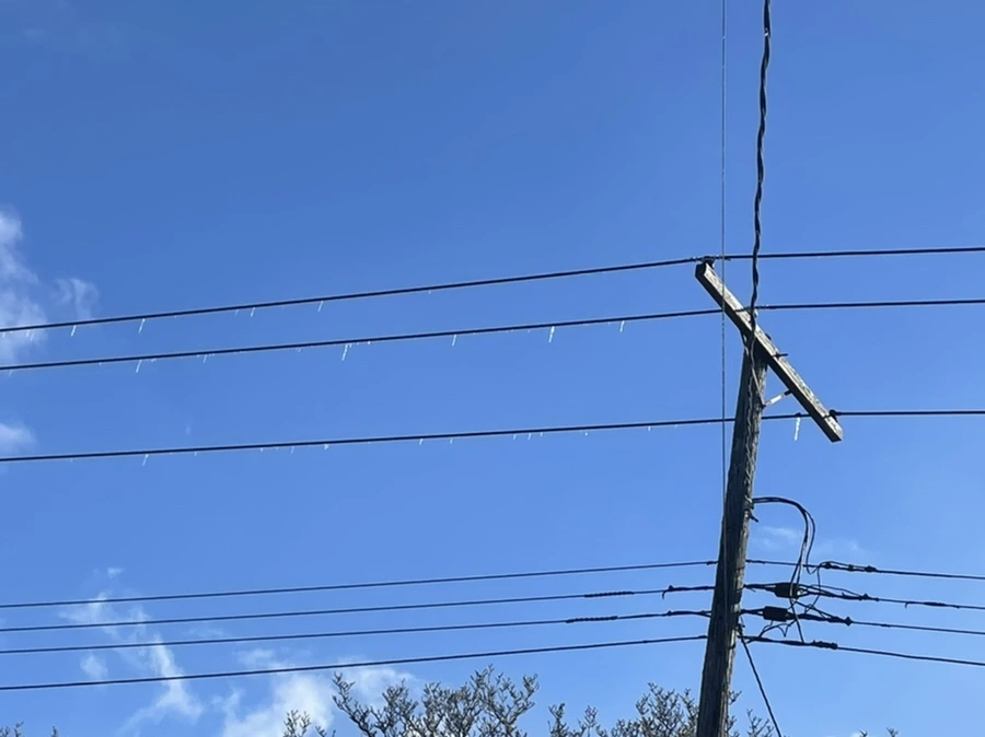 IMG_1368.jpg?type=w966