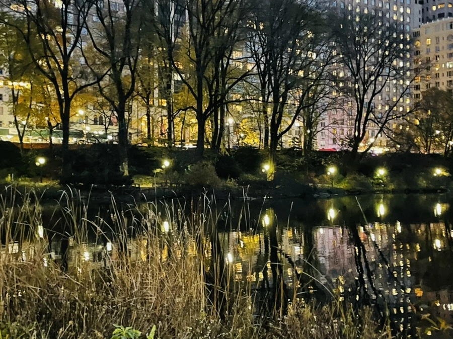 IMG_5232.jpg?type=w966