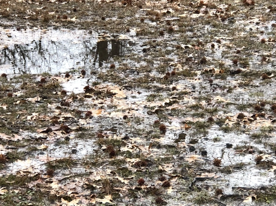 IMG_3378.jpg?type=w966