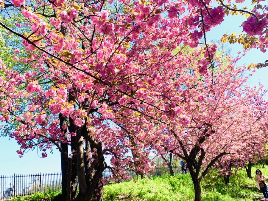 IMG_5979.jpg?type=w966