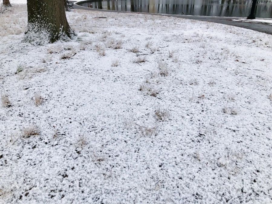 IMG_4473.jpg?type=w966