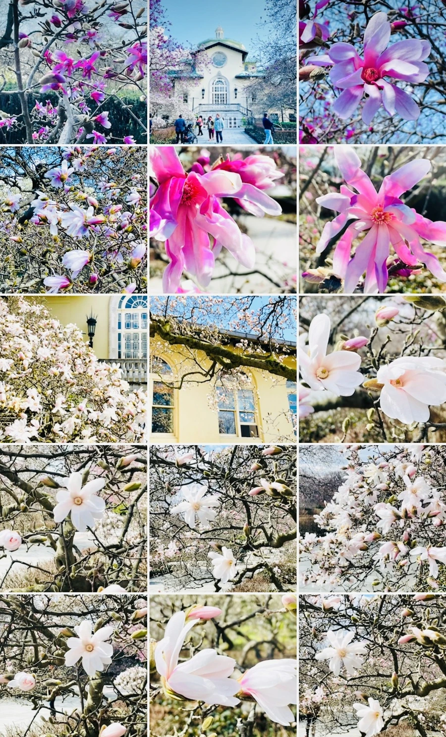 IMG_7292.jpg?type=w966