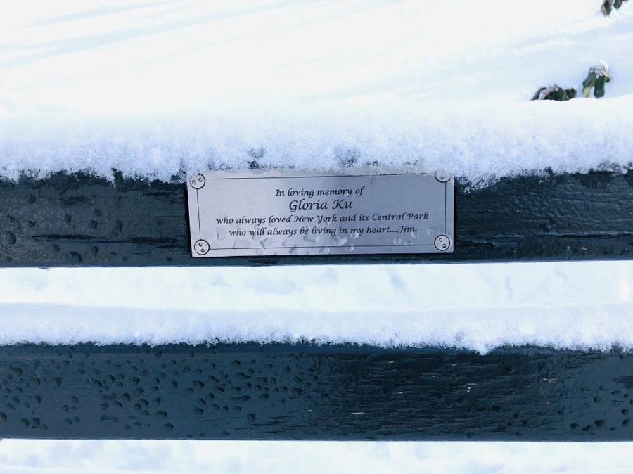 IMG_7045.jpg?type=w966