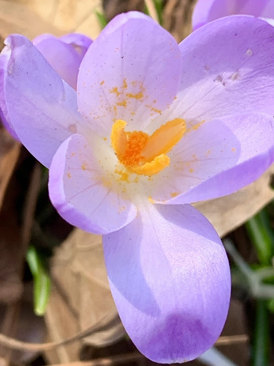 IMG_0136.jpg?type=w966