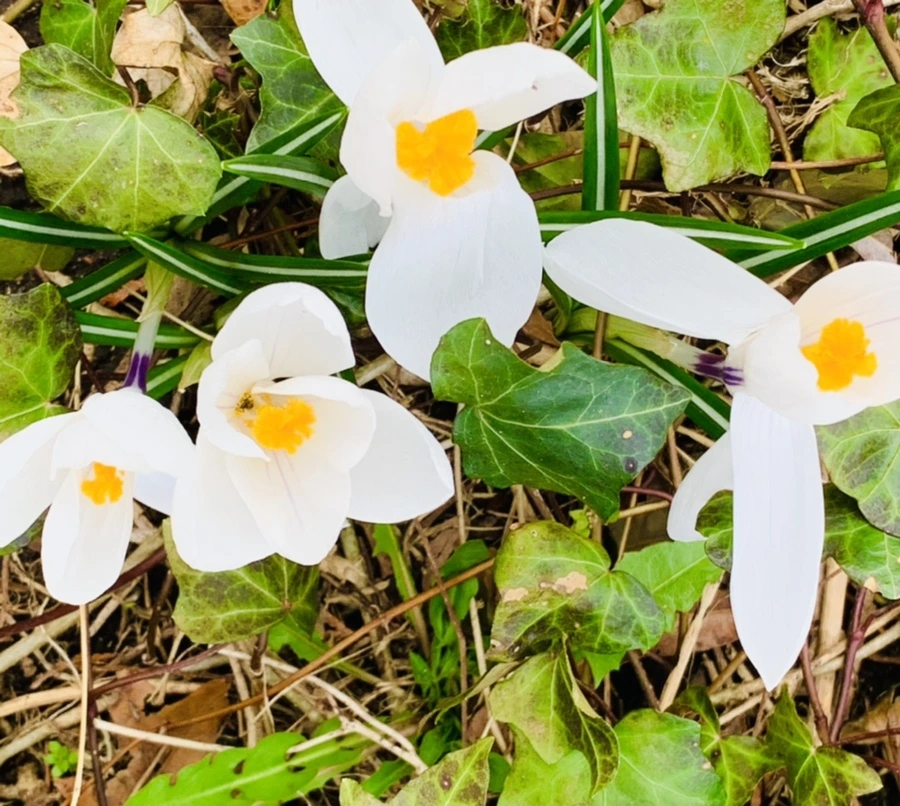 IMG_5881.jpg?type=w966