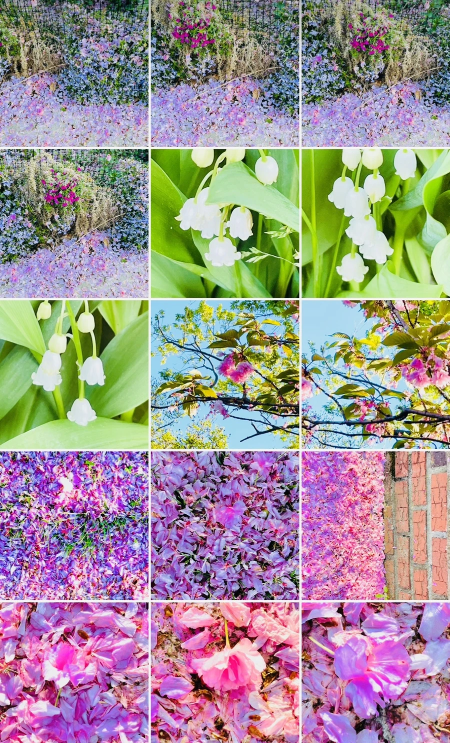 IMG_6190.jpg?type=w966