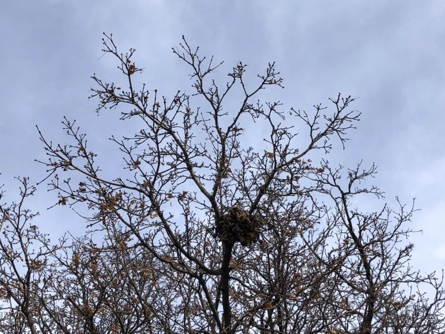 56qKonSqLiuu_ftdSLY9BLx0t4I