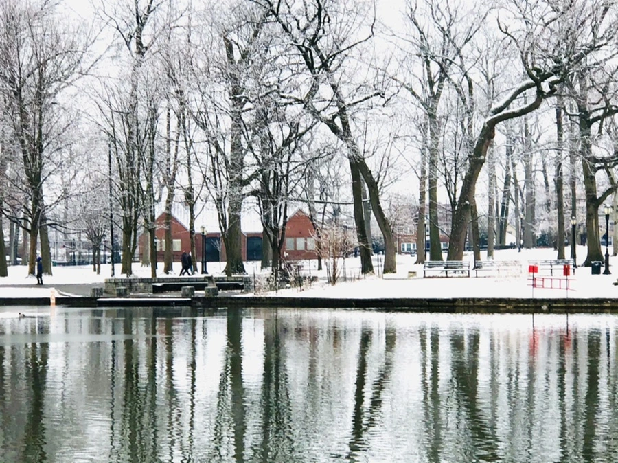 IMG_4538.jpg?type=w966