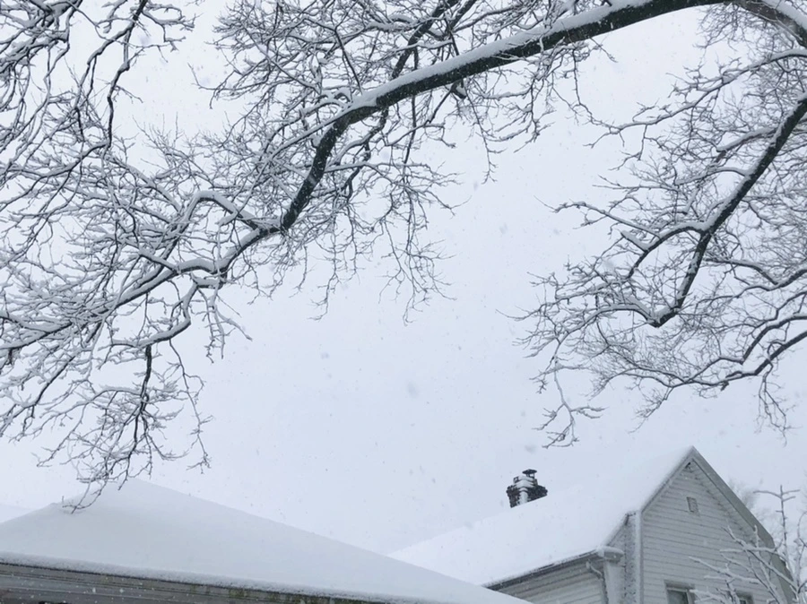 IMG_1063.jpg?type=w966