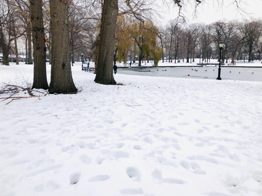 IMG_7556.jpg?type=w966