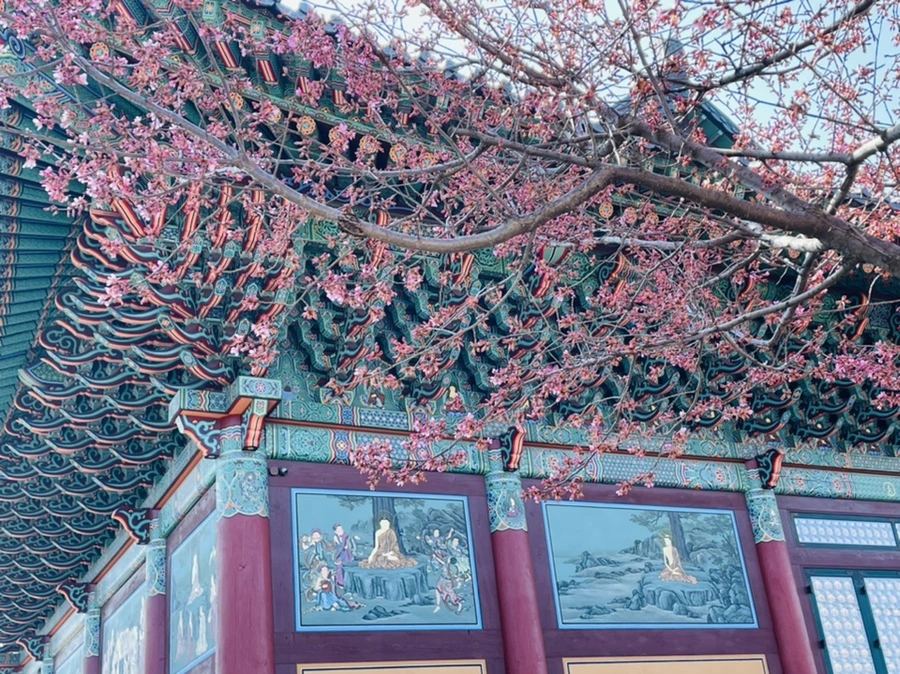 IMG_5867.jpg?type=w966