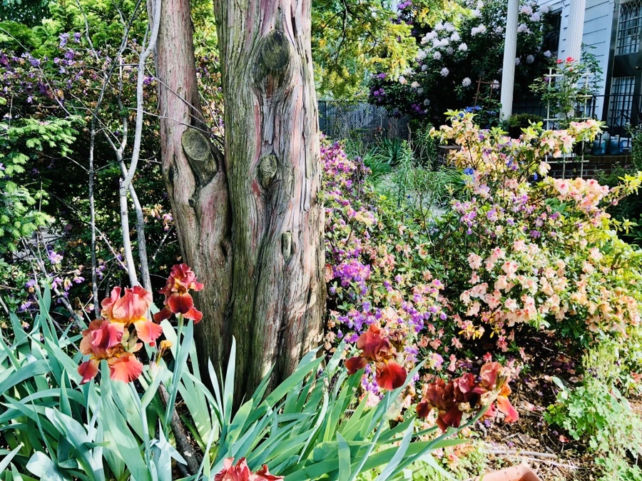 IMG_7654.jpg?type=w966