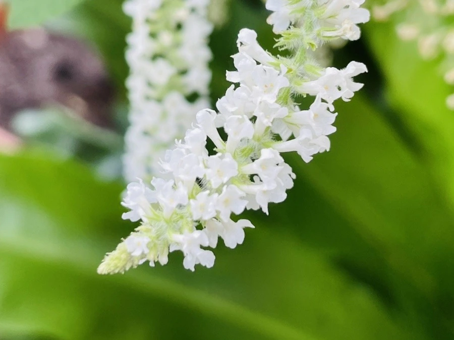 6d94Gq-LDm9XBrPVdfEiJnPuzUs