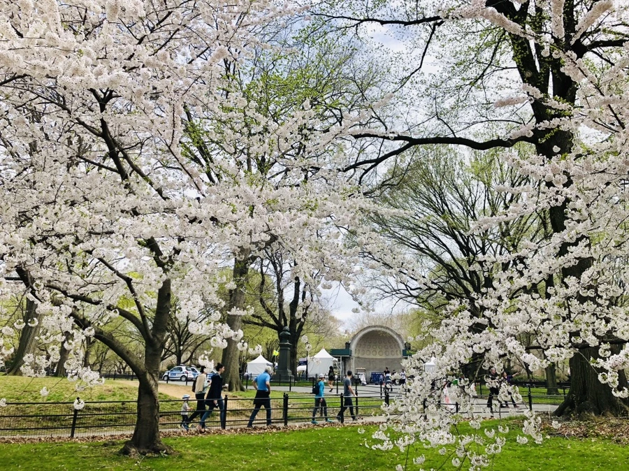 IMG_2944.jpg?type=w966