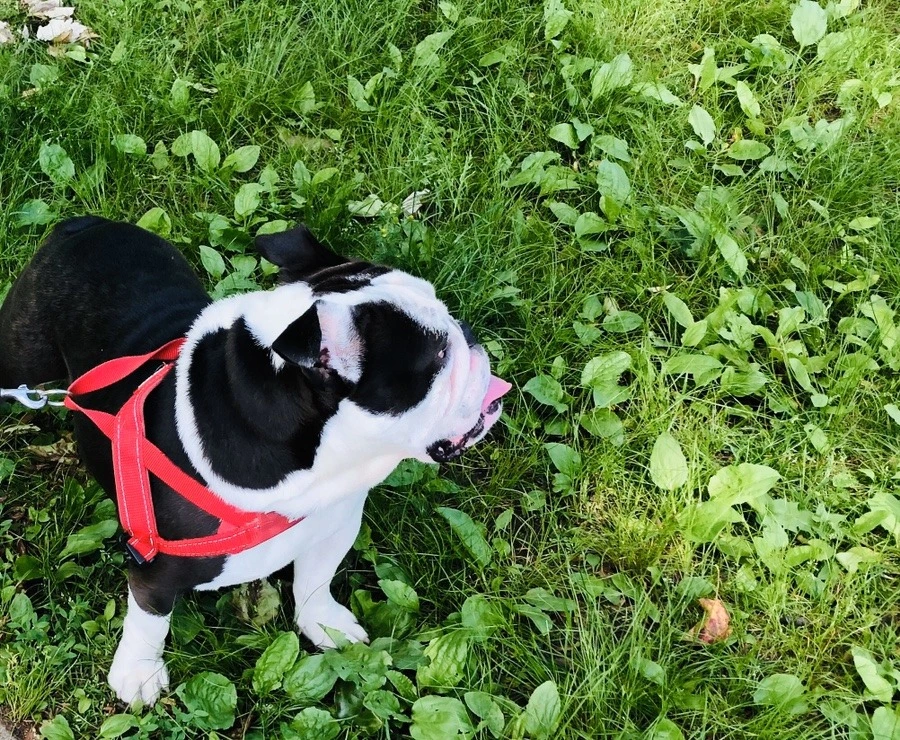 Lop7OQN8g59HhVI2x-Lfodpv4Go