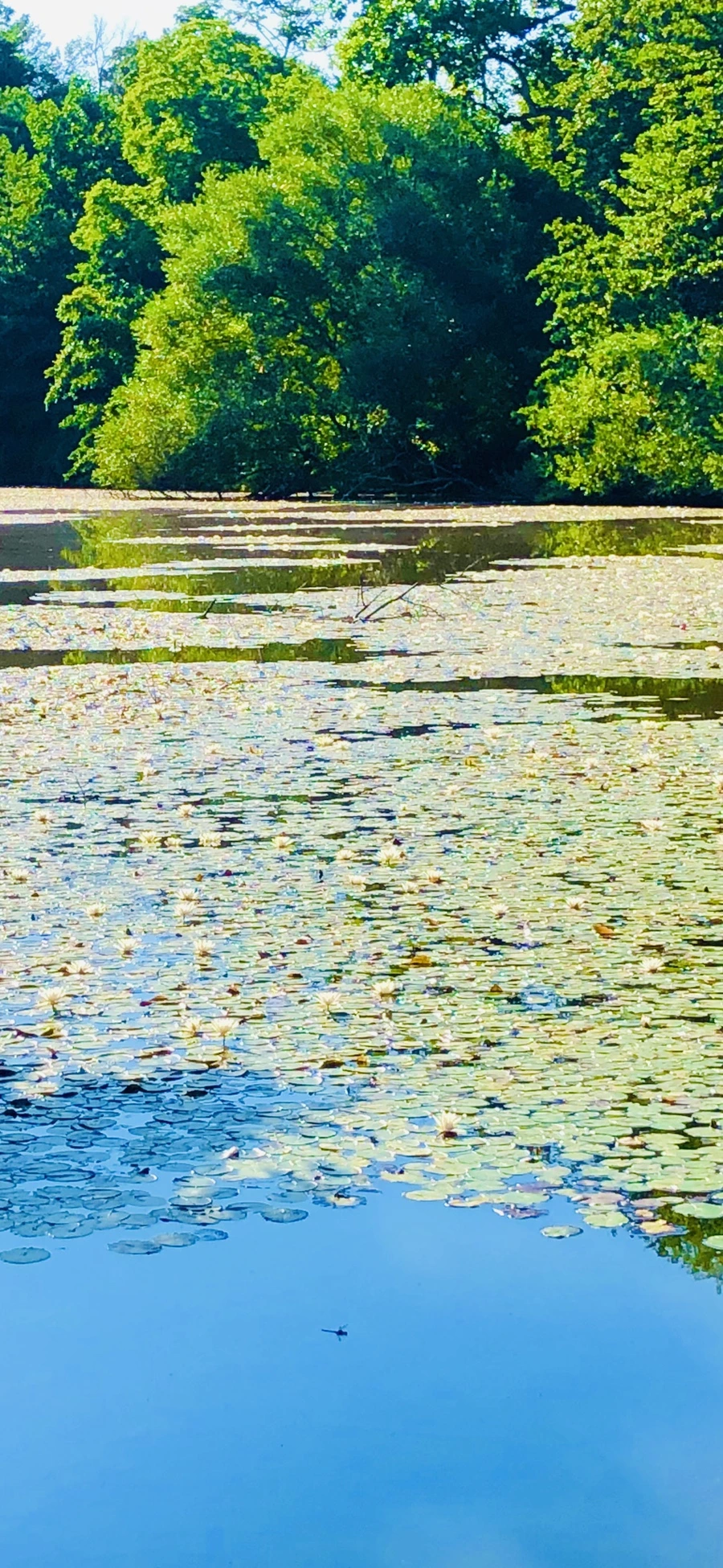 IMG_3934.jpg?type=w966