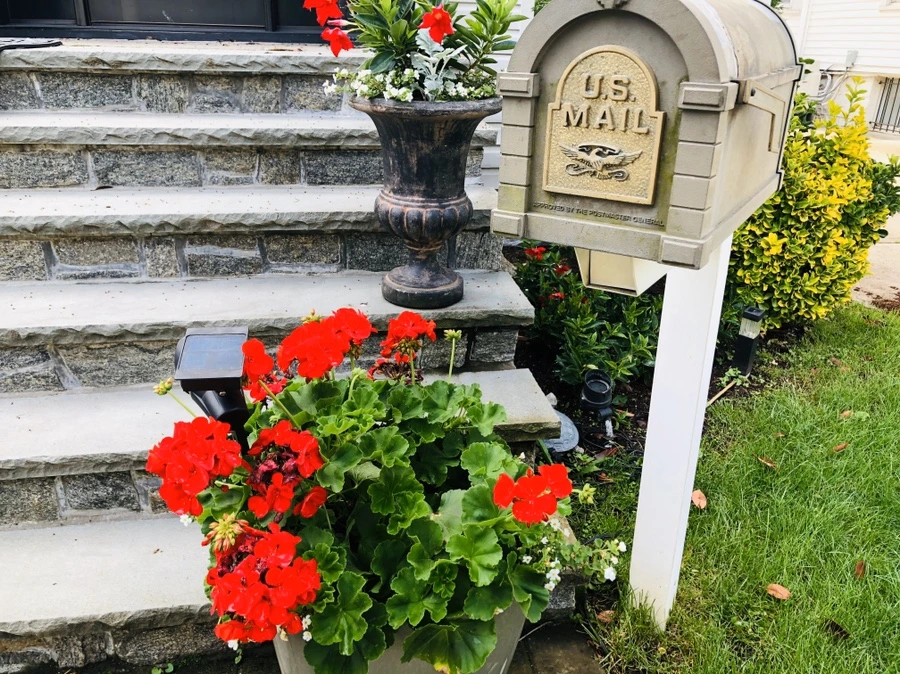 IMG_8851.jpg?type=w966