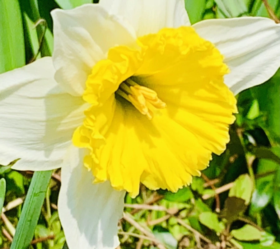 IMG_4290.jpg?type=w966