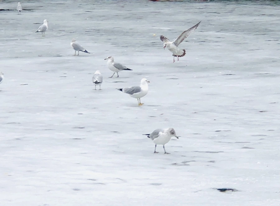 IMG_6336.jpg?type=w966