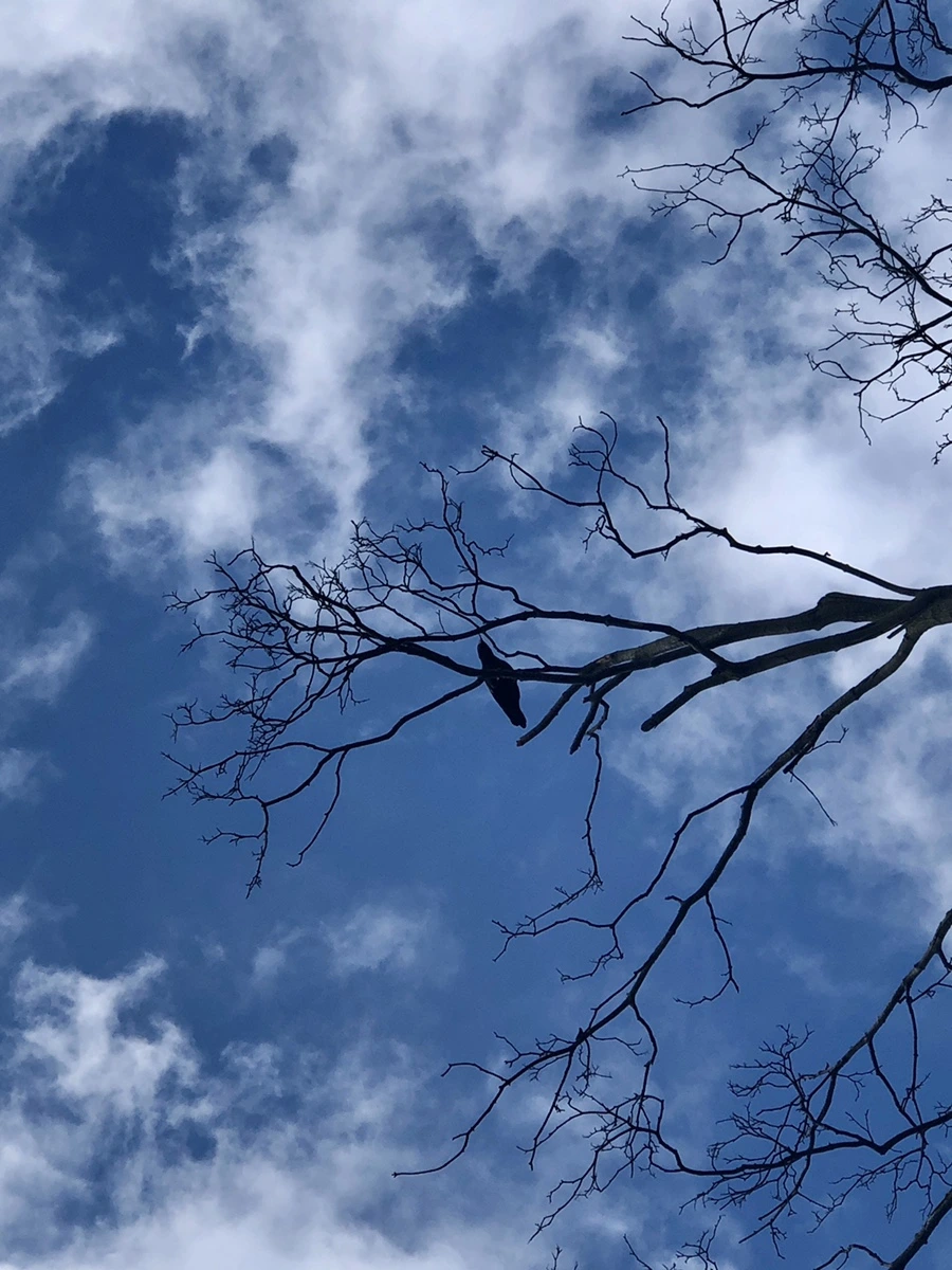 IMG_6563.jpg?type=w966