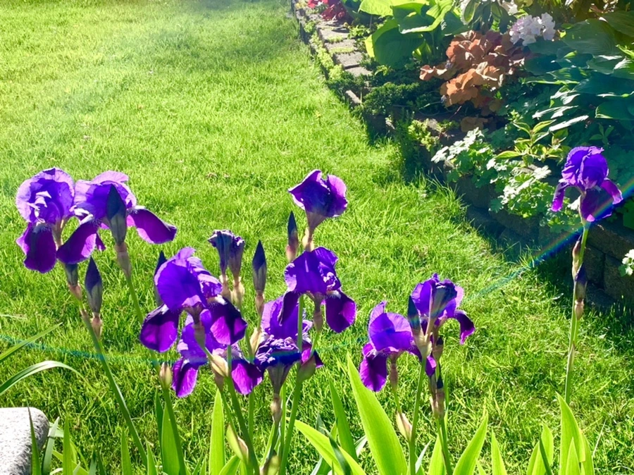 IMG_2032.jpg?type=w966