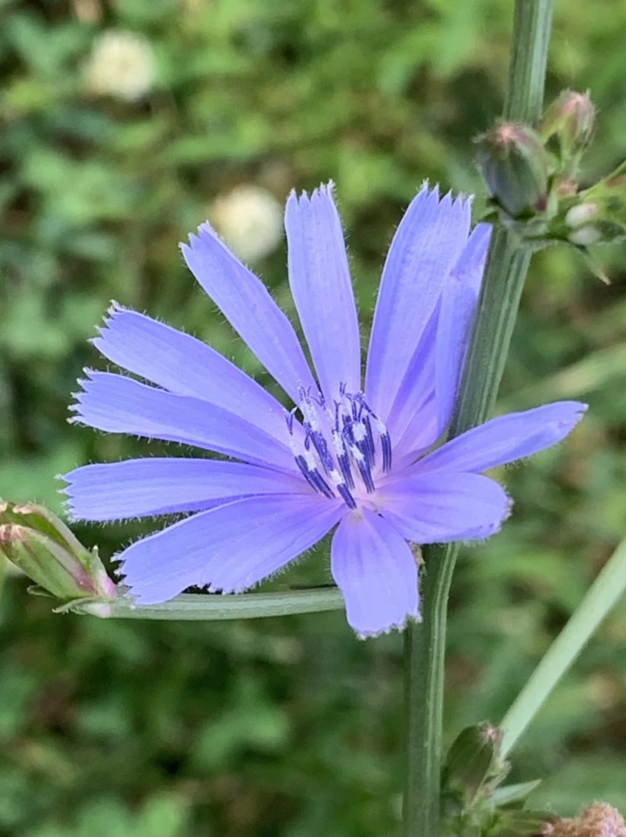 IMG_5905.jpg?type=w966