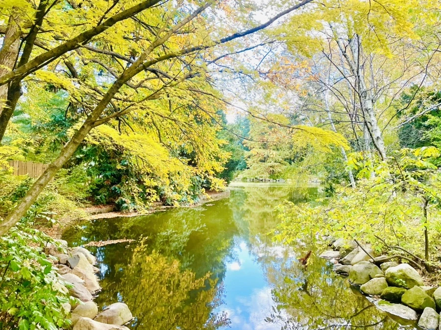 IMG_0207.jpg?type=w966