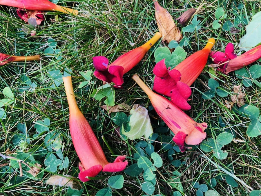 IMG_2042.jpg?type=w966