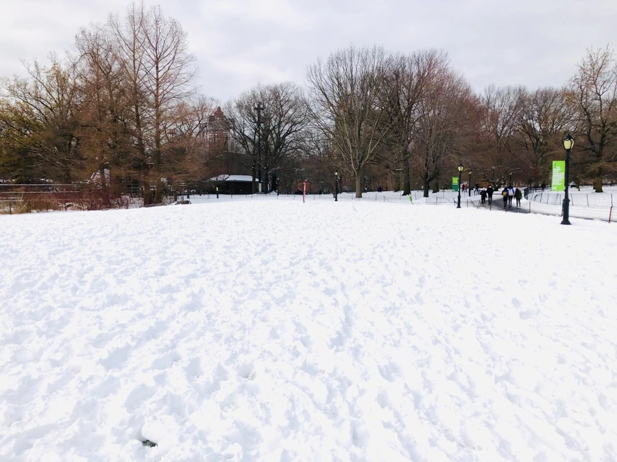 IMG_7318.jpg?type=w966