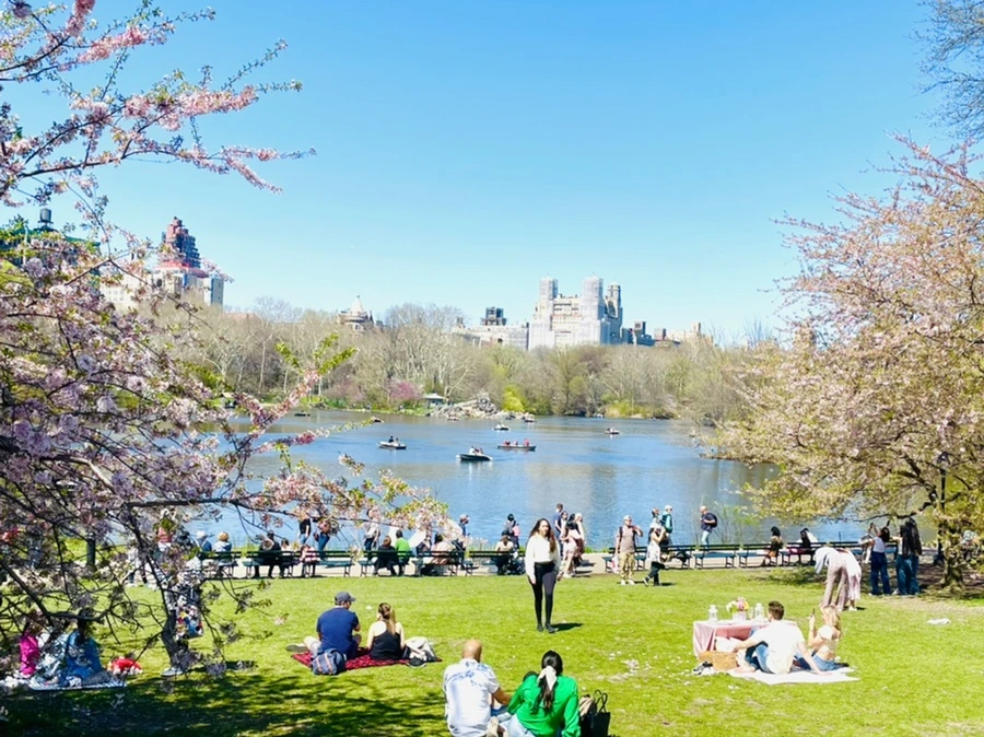 IMG_0669.jpg?type=w966