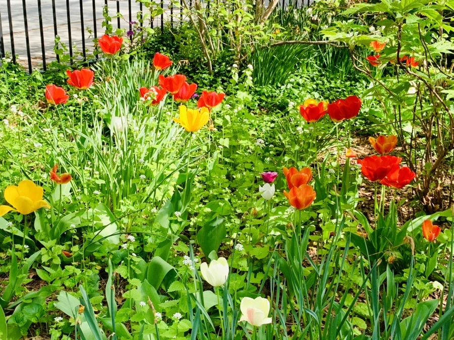 IMG_6856.jpg?type=w966