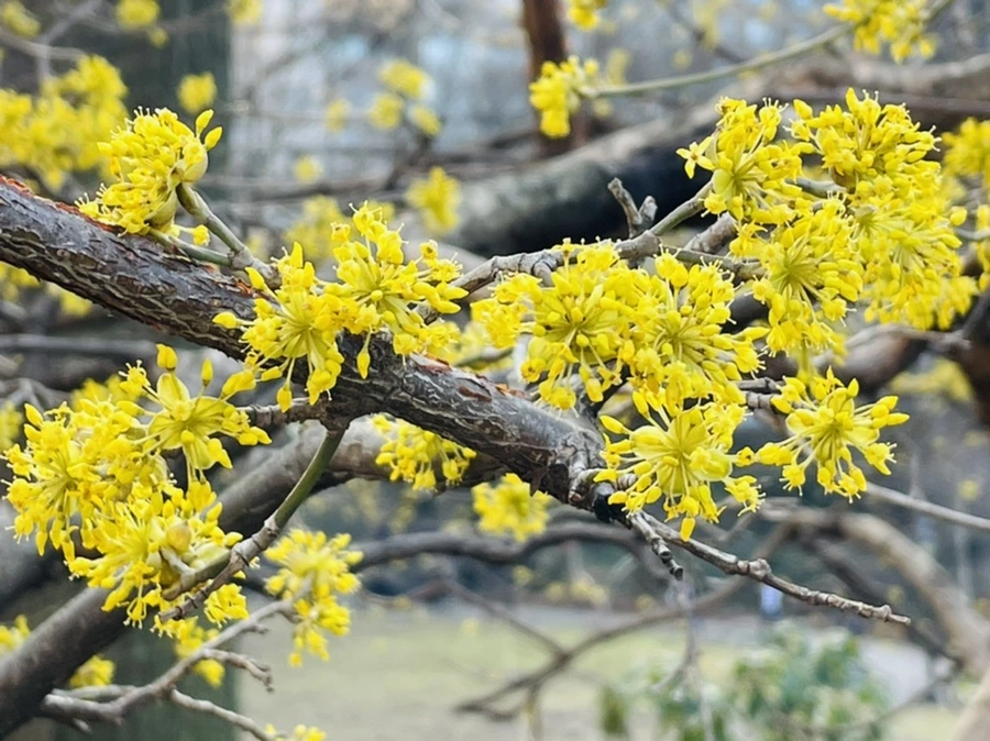 IMG_5401.jpg?type=w966